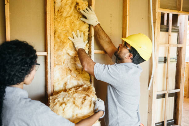 Best Insulation Repair Services  in Leechburg, PA